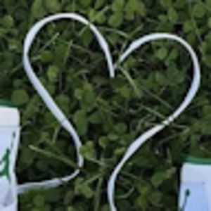 Meet your Posher, Coup de grace